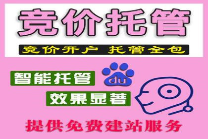 百度竞价广告托管运营的创意策略与成功案例